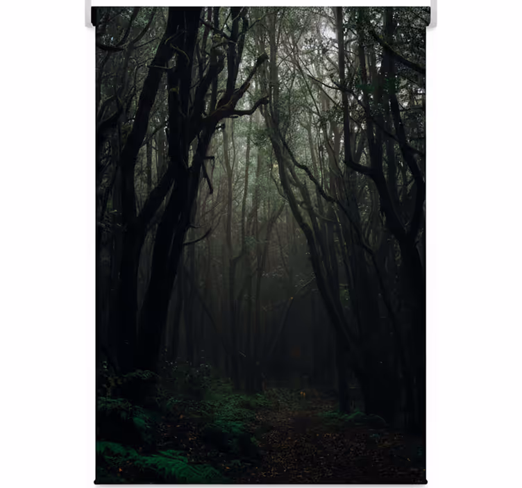 Cortina roller árboles bosques místicos oscuros - TenVinilo