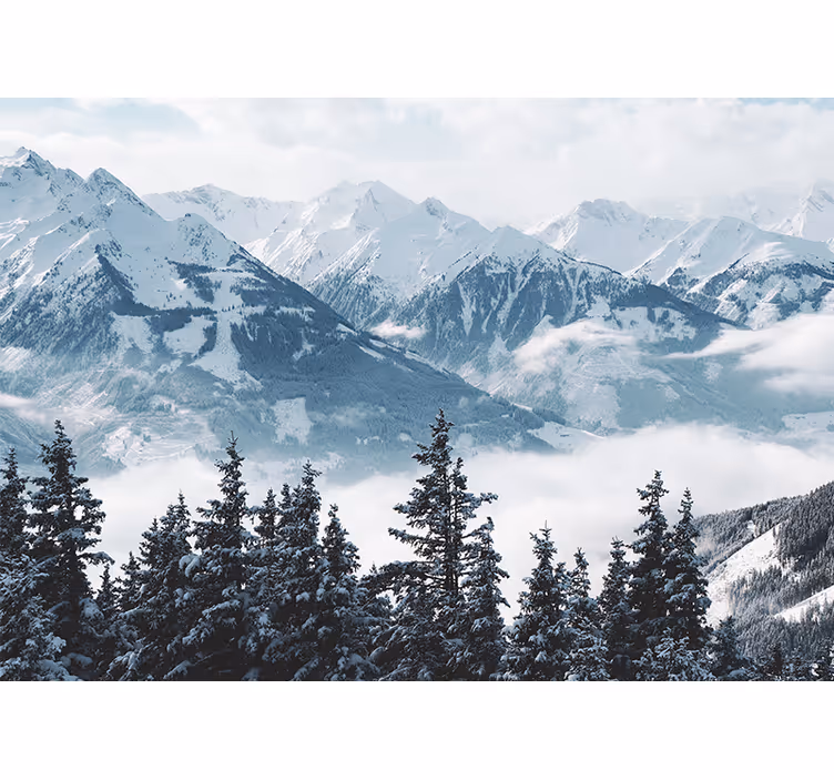 Cortina roller living comedor montañas nevadas y árboles - TenVinilo