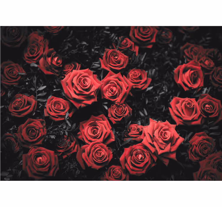Cortina roller living comedor blanco y negro con rosas rojas - TenVinilo