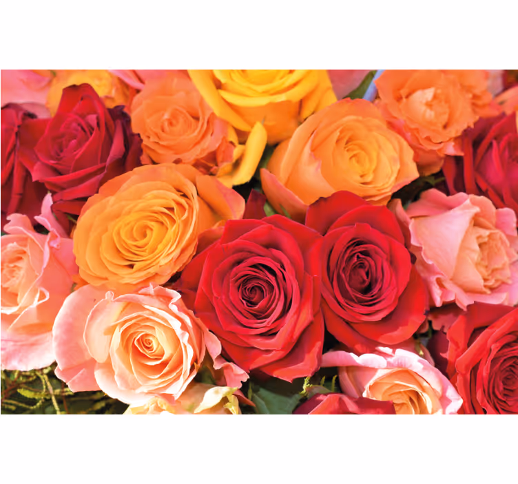 Cortina roller living comedor rosas flores diferentes - TenVinilo