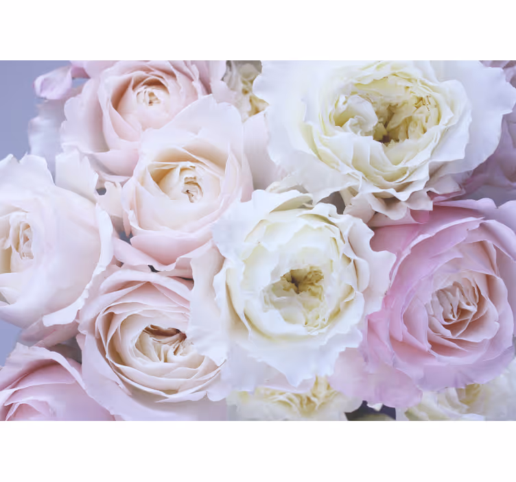 Cortina roller living comedor rosas diferentes en close up - TenVinilo