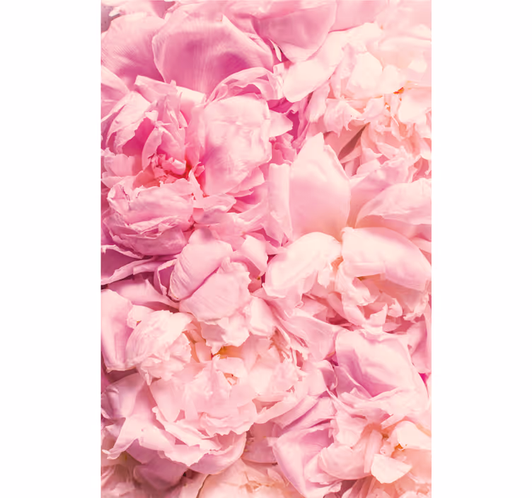 Cortina roller habitación flores de peonía rosa realista - TenVinilo