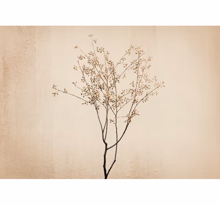 Cortina roller beige estilo japandi florido - TenVinilo