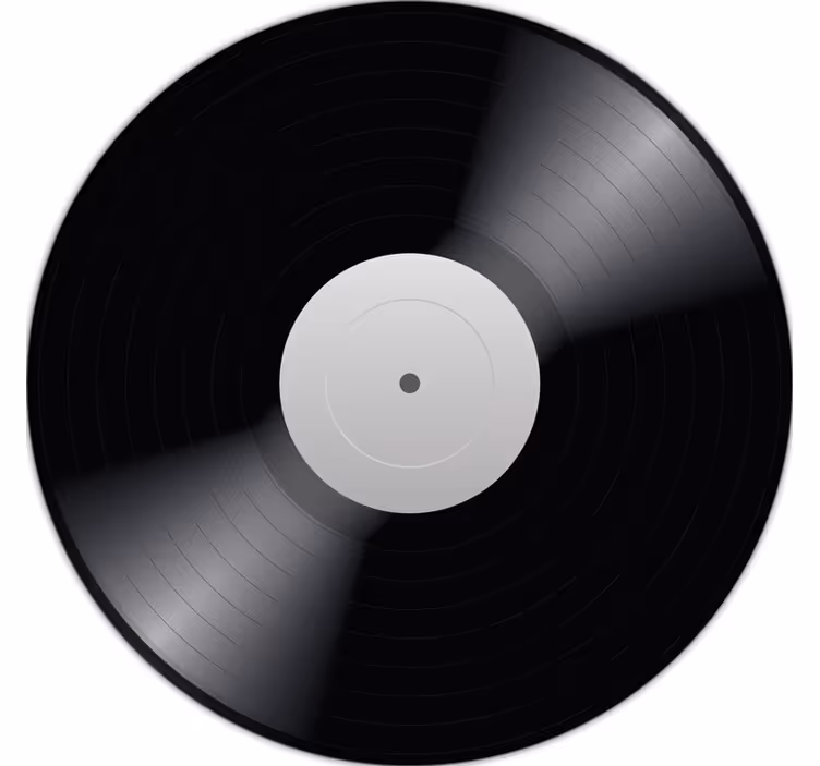 Cortina roller negra disco de vinilo negro - TenVinilo