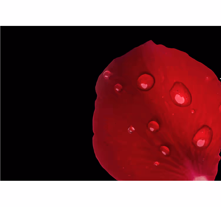 Cortina roller habitación patrón de rosas rojas con gotas - TenVinilo