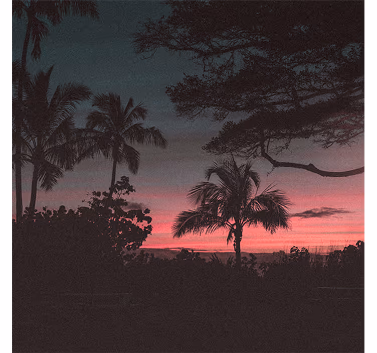 Cortina roller living comedor árboles cielo rosa atardecer - TenVinilo