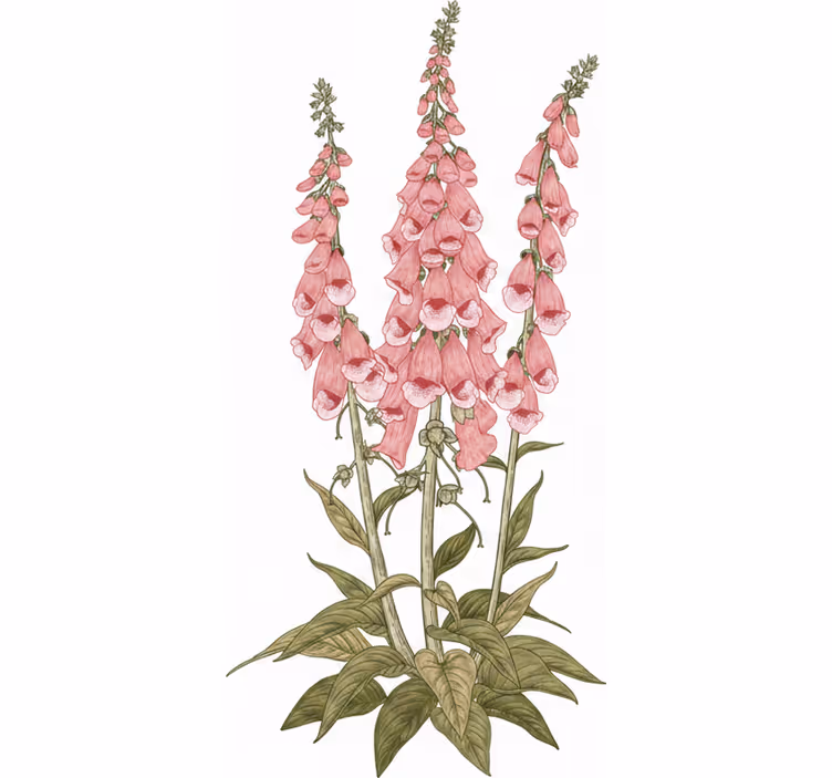 Cortina roller living comedor flores rosas - TenVinilo