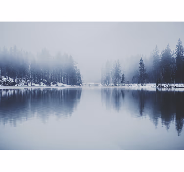 Cortina roller blanca bosque invernal brumoso - TenVinilo