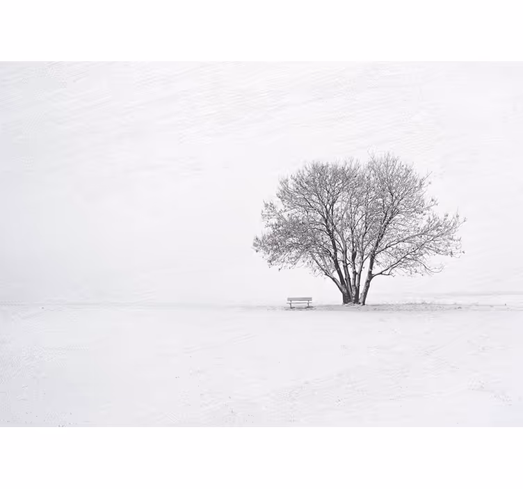 Cortina roller blanca diseño nórdico invierno árbol nevado - TenVinilo