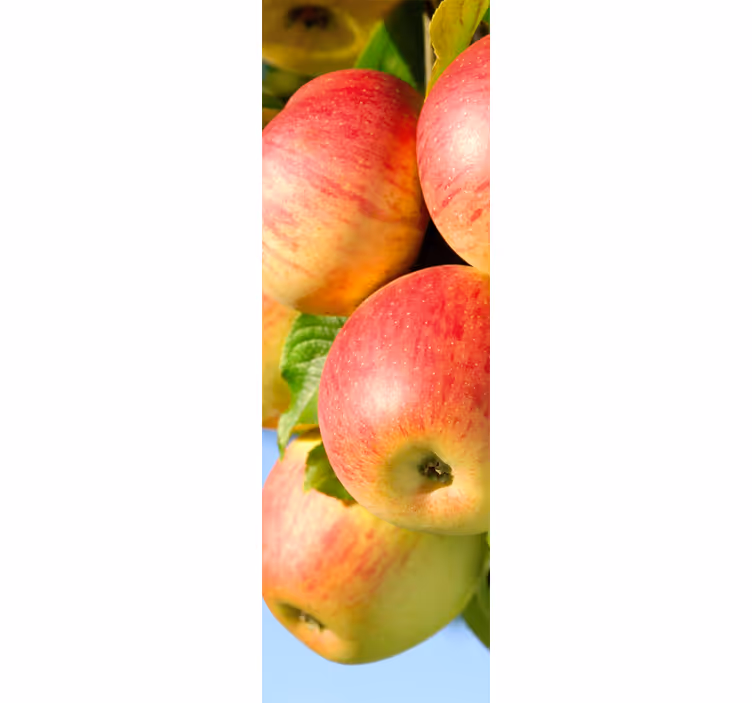 Cortina roller cocina vinilo decorativo manzanas árbol - TenVinilo