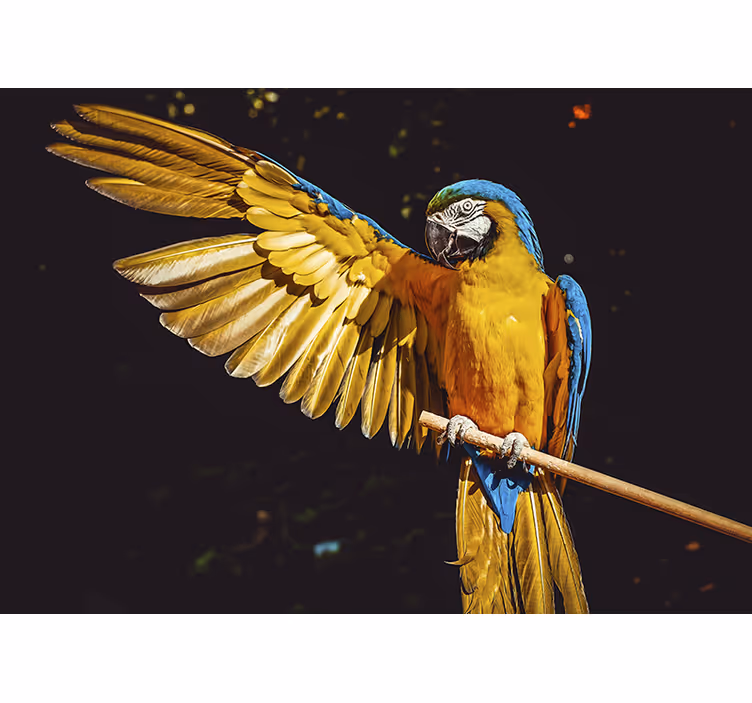 Cortina roller habitación aves tropicales - TenVinilo