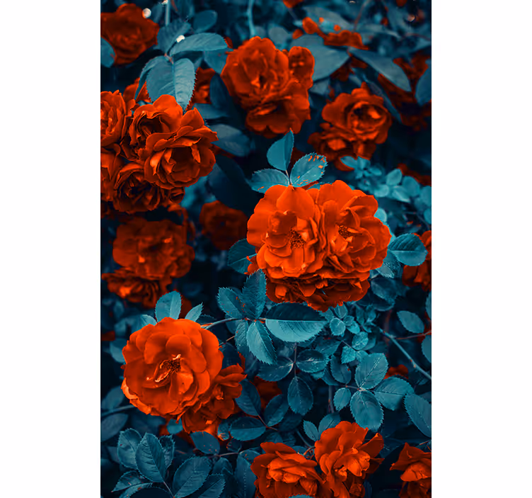 Cortina roller flores rosas florecientes vibrantes - TenVinilo