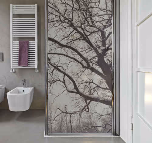 Adhesivos para shower door