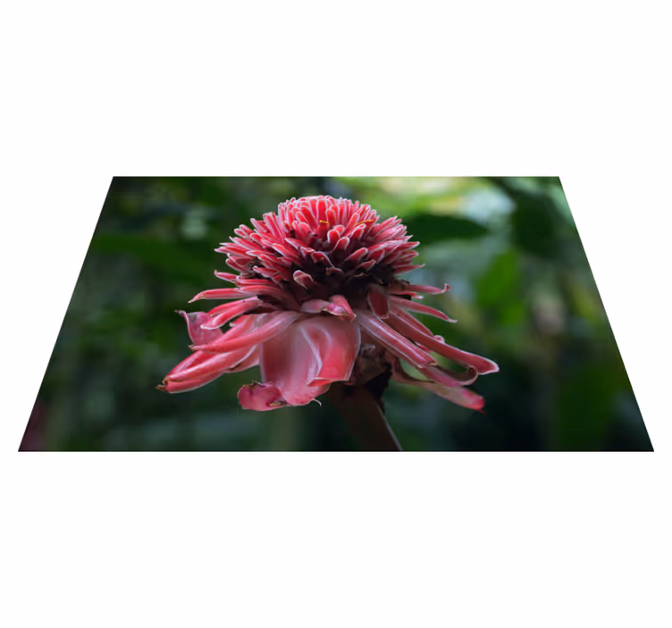 Individual original mesa arreglo floral tropical - TenVinilo