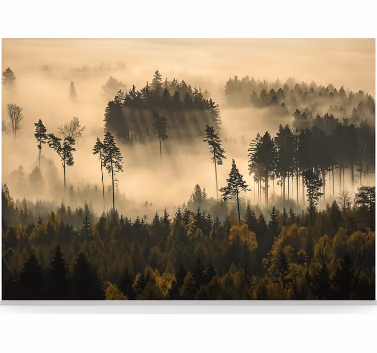 Papel mural bosque bruma etérea de la mañana - TenVinilo