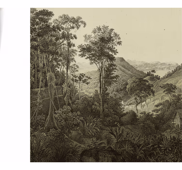 Papel mural bosque estampado de bosque ondulado - TenVinilo