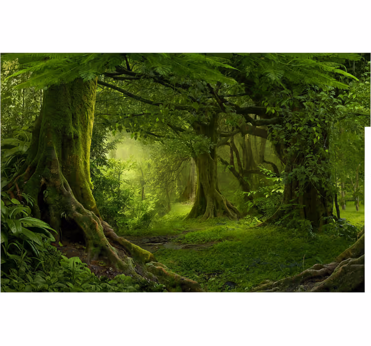 Papel mural bosque escape en un bosque frondoso - TenVinilo