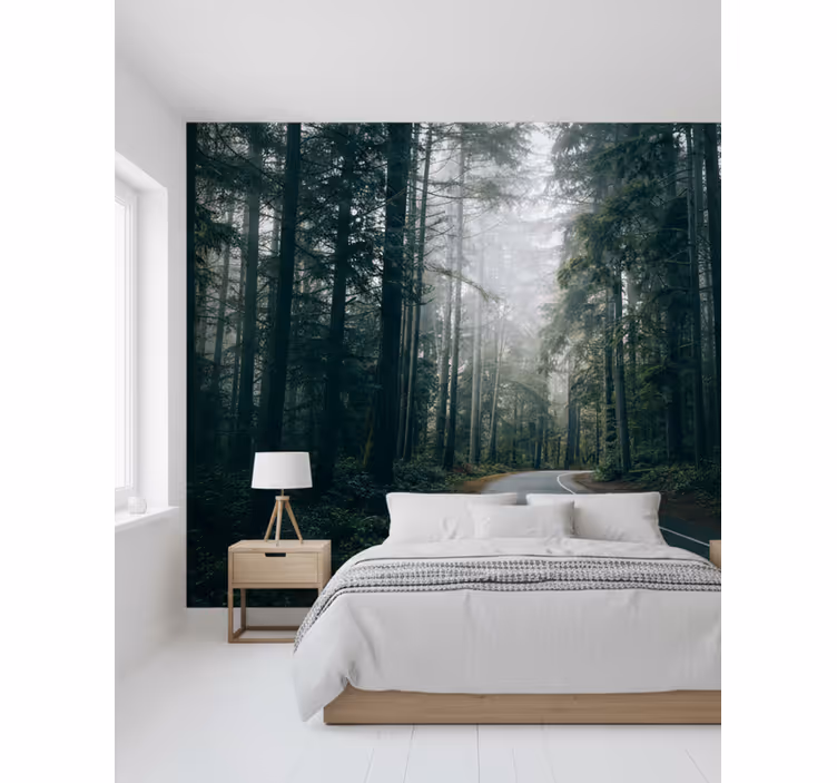 Papel mural bosque camino de pinos nebulosos - TenVinilo