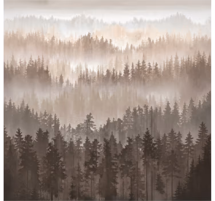 Papel mural paisajes capas de bosque de madera - TenVinilo