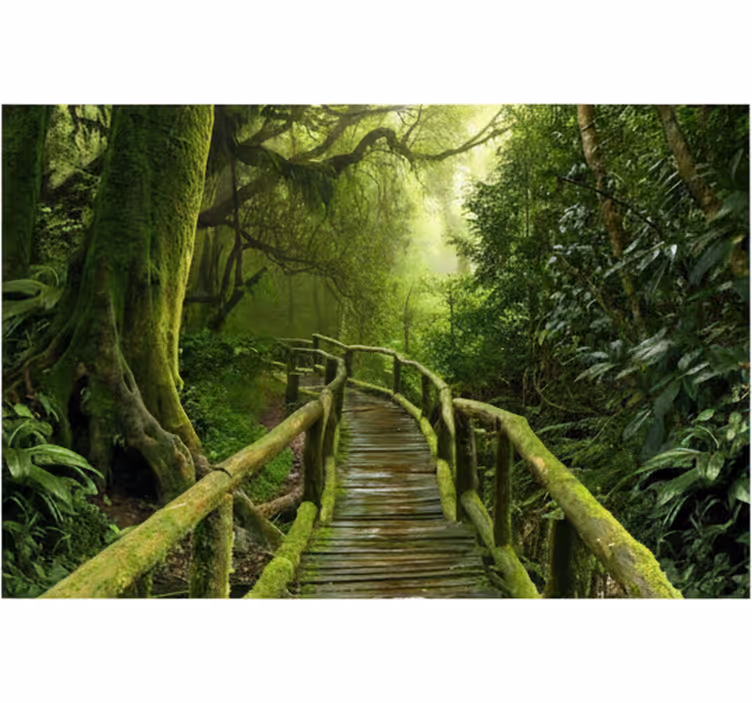 Papel mural bosque pasarela musgosa lujosa - TenVinilo