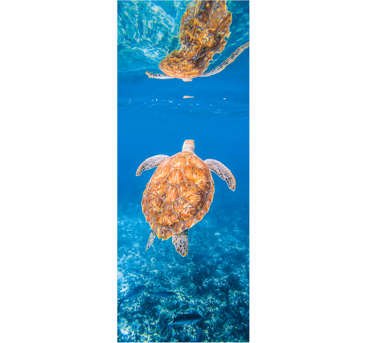 Papel mural baño hermosa tortuga bajo el agua - TenVinilo