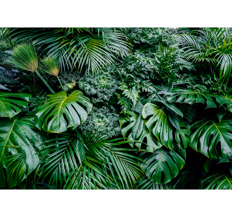 Papel mural verde selva soleada - TenVinilo