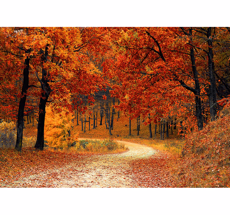 Papel mural naranja árboles de otoño - TenVinilo