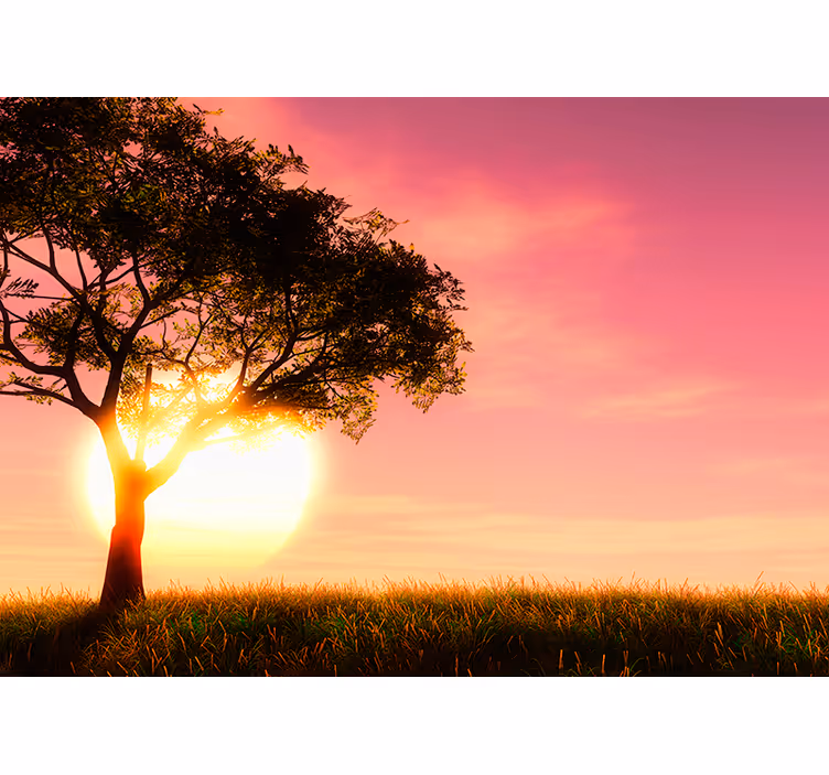 Fotomural de arboles Ocaso dentro del árbol - TenVinilo