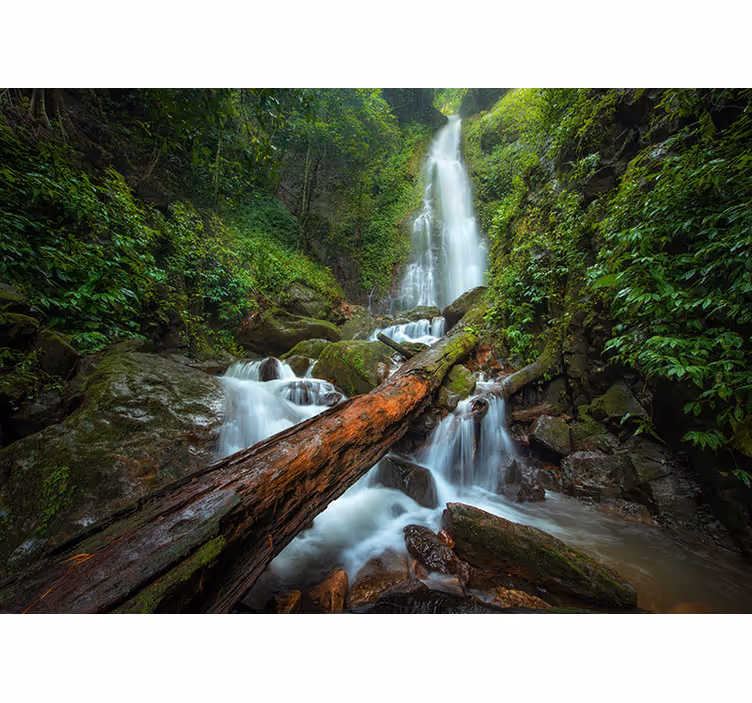 Fotomural bosque frondoso con cascada - TenVinilo
