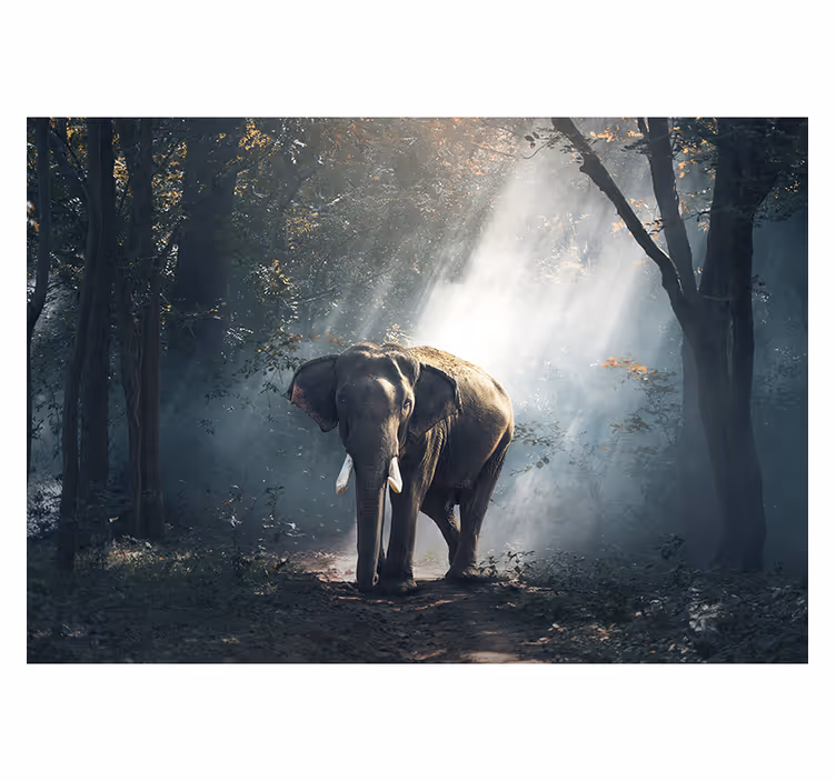 Fotomural pared de elefante en selva - TenVinilo
