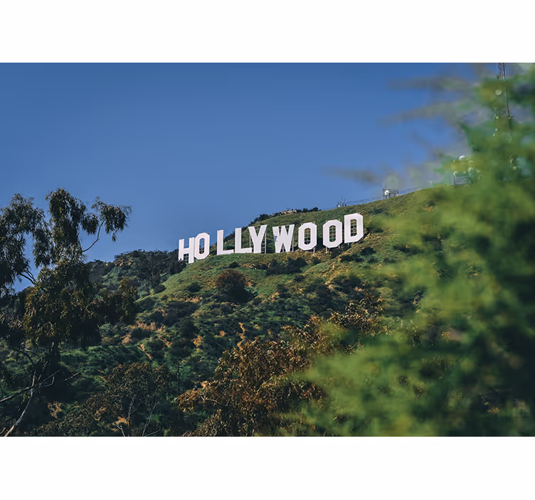 Fotomural pared paisaje cartel Hollywood - TenVinilo