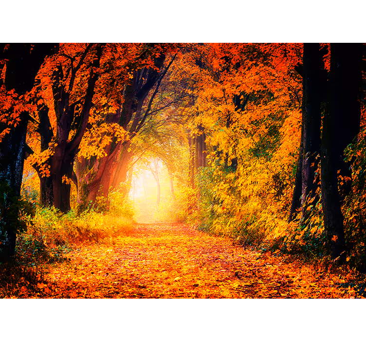 Fotomural paisaje bosque frondoso otoñal - TenVinilo