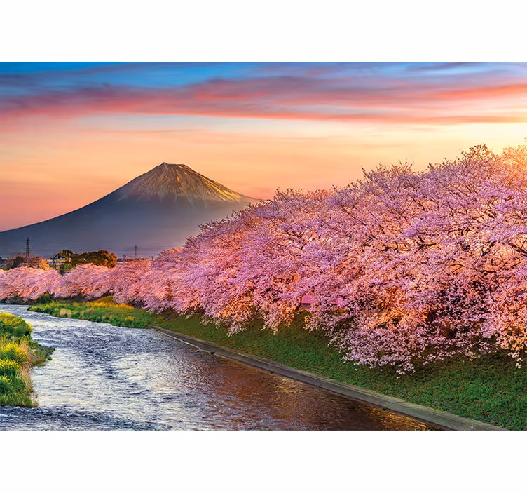 Papel mural paisajes flores de cerezo del monte fuji - TenVinilo