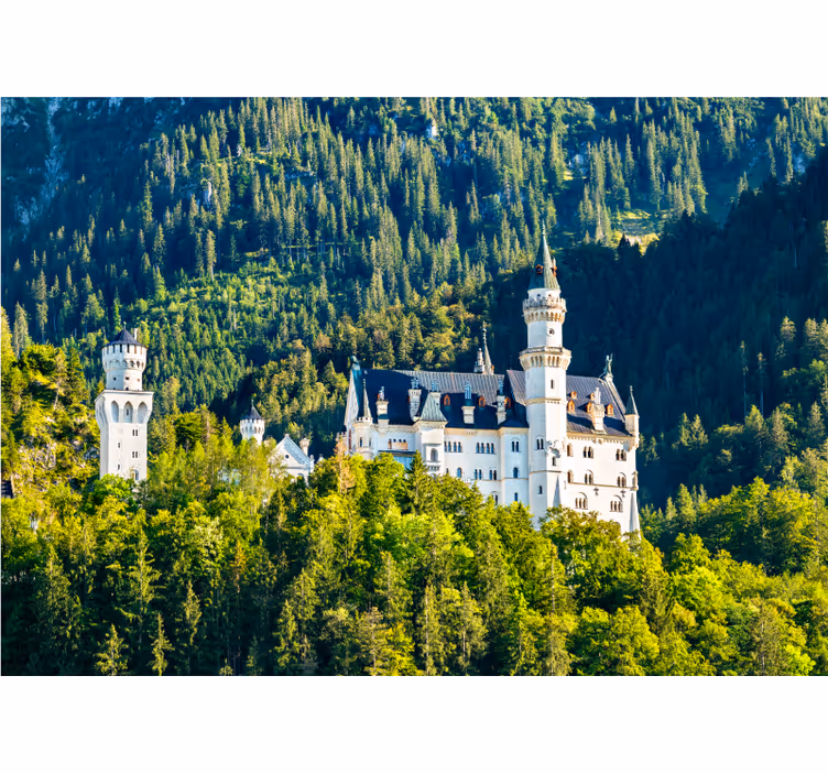Papel mural ciudades vista del castillo neuschwanstein - TenVinilo