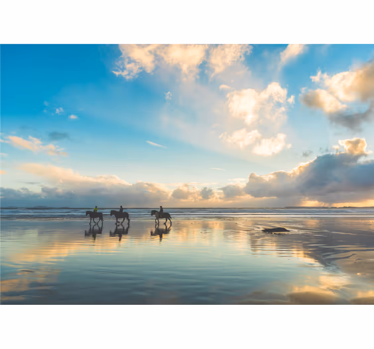 Fotomural naturaleza Caminar sobre el agua con caballos - TenVinilo