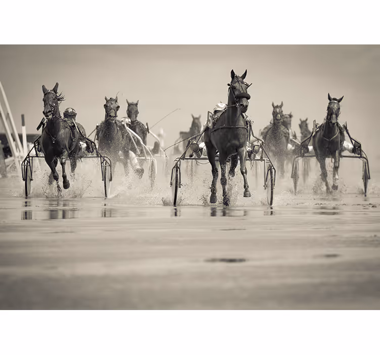 Fotomural animale Corriendo grupo de caballos - TenVinilo