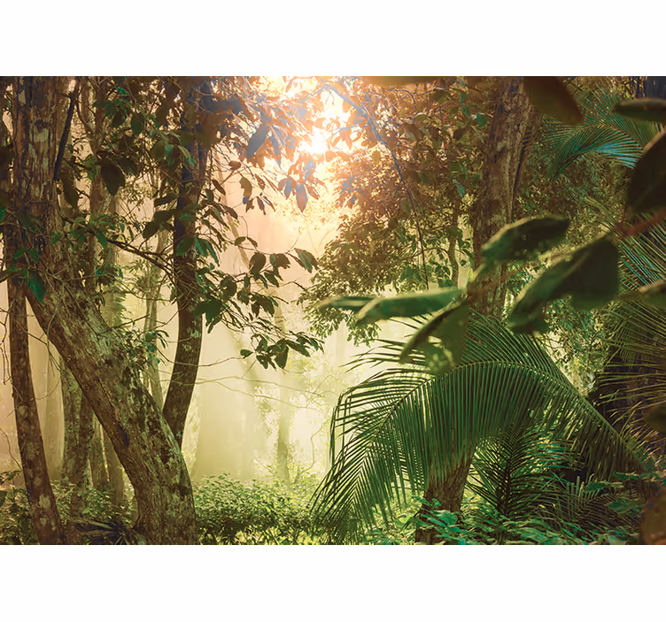 Papel mural naturaleza vista del bosque soleado - TenVinilo
