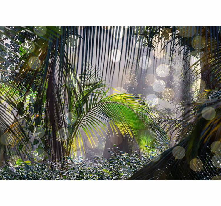 Papel mural selva escena de vegetación exuberante - TenVinilo