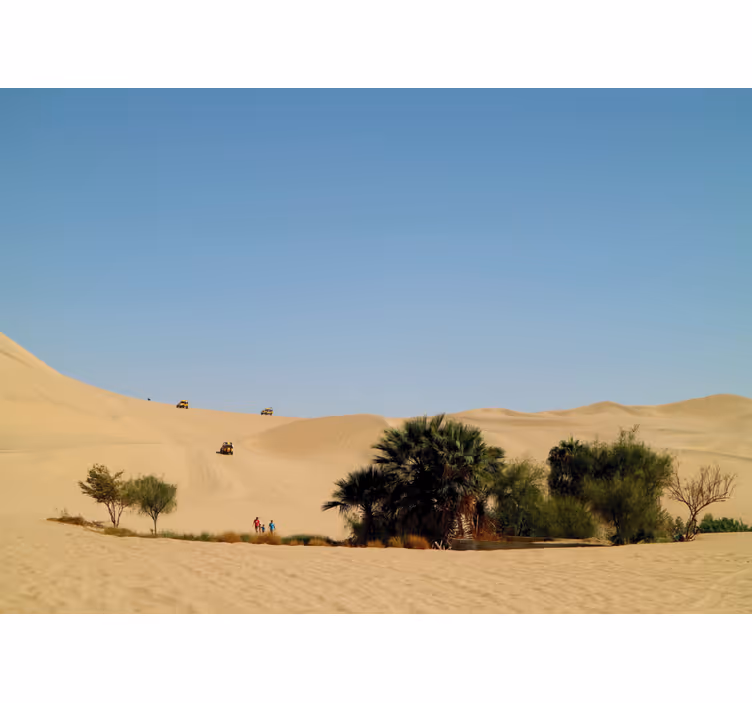 Mural desierto oasis de dunas de arena - TenVinilo