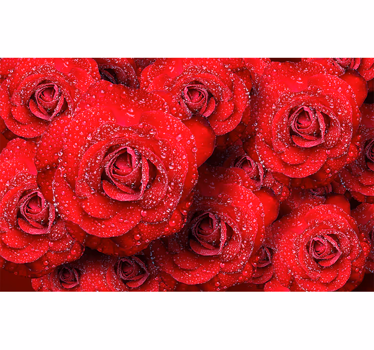 Papel mural rosas rojas en flor - TenVinilo