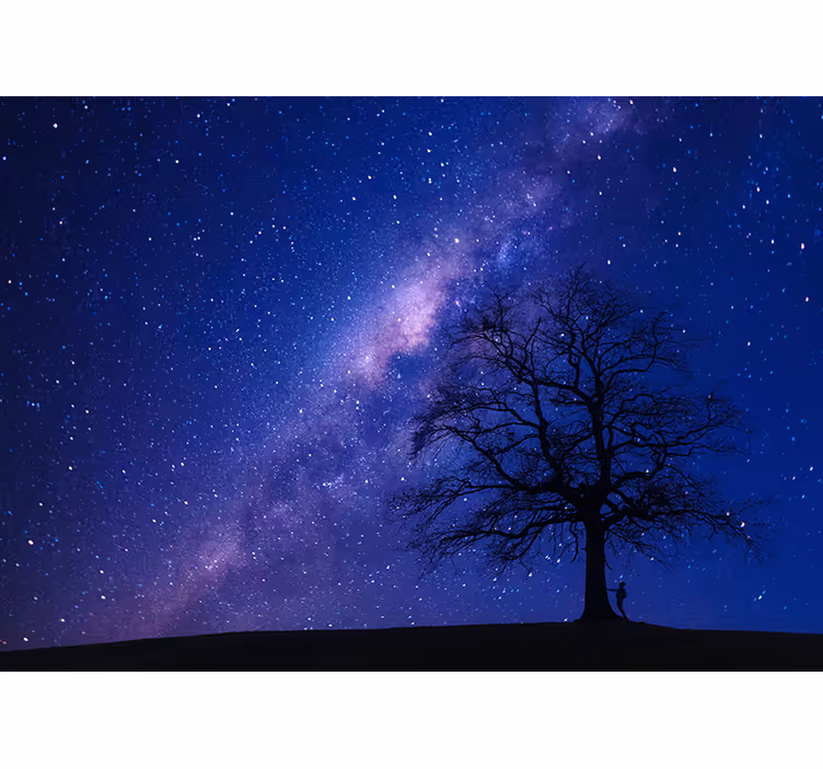 Fotomural 3D árbol en la noche - TenVinilo