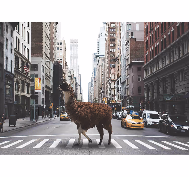 Fotomural Nueva York Un lama en nueva york - TenVinilo