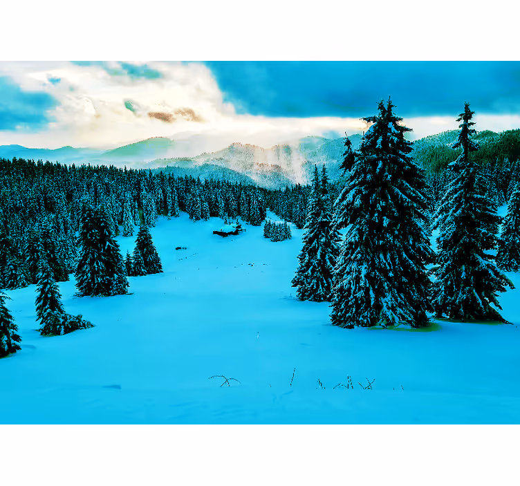 Papel mural paisajes bosque de pinos nevados - TenVinilo