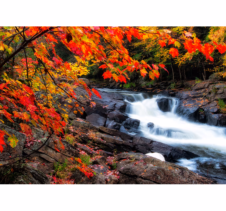 Papel mural bosque paisaje de cascadas en otoño - TenVinilo