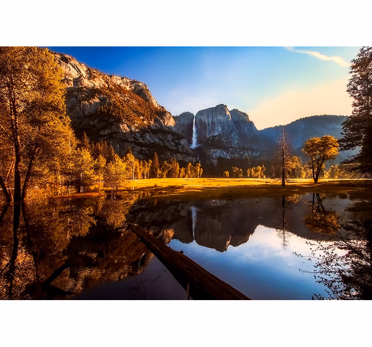 Fotomural naturaleza La luz del sol reflejada en el río en el bos - TenVinilo
