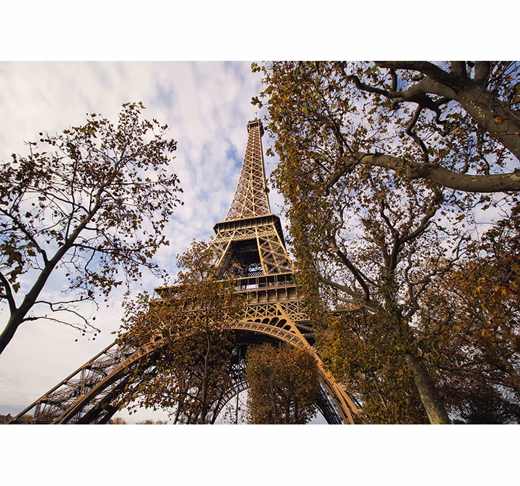 Papel mural parís perspectiva escénica de la torre eiffel - TenVinilo
