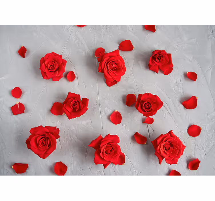 Papel mural flores pétalos de rosa rojos - TenVinilo