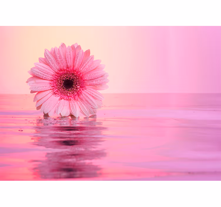 Papel mural de amapolas reflejo de flor rosa - TenVinilo