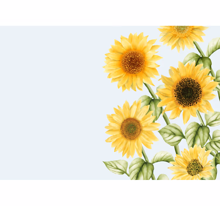 Papel mural flores exhibición de girasoles - TenVinilo