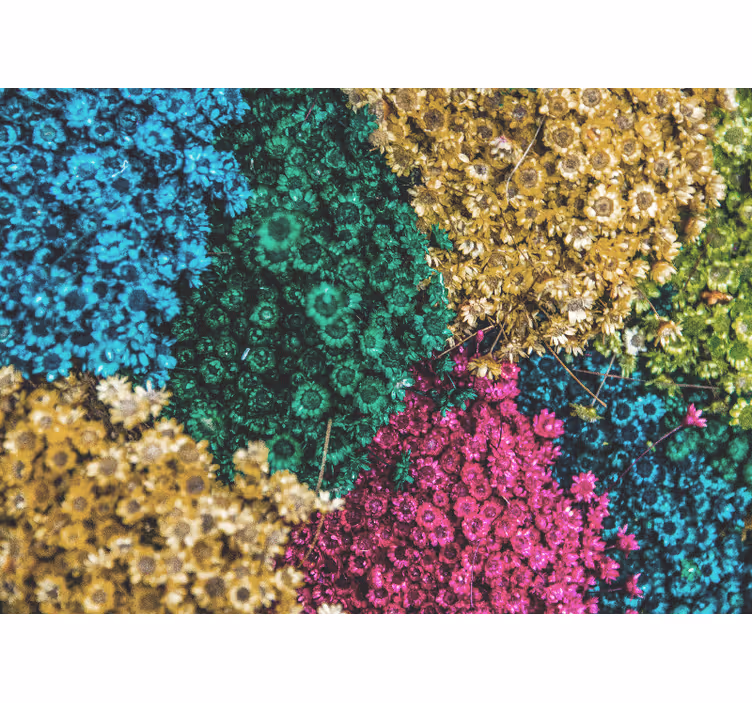 Papel mural flores patrones florales coloridos - TenVinilo